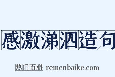 感激涕泗造句是什么意思的图片